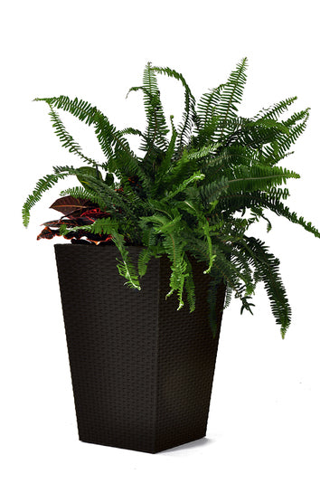 Puķu pods Rattan Planter M 55,4L brūns