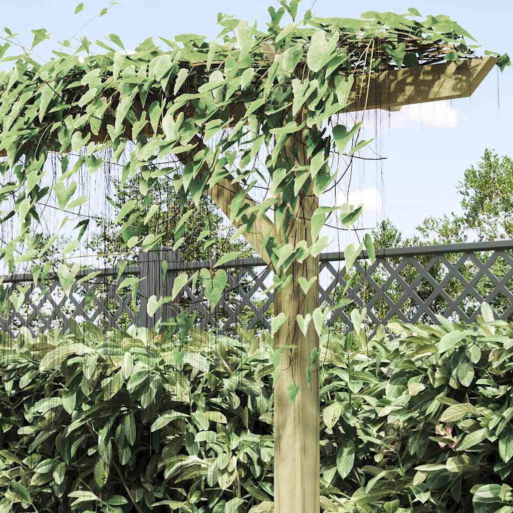 Dārza Pergola, 205X40X203 Cm, Koks