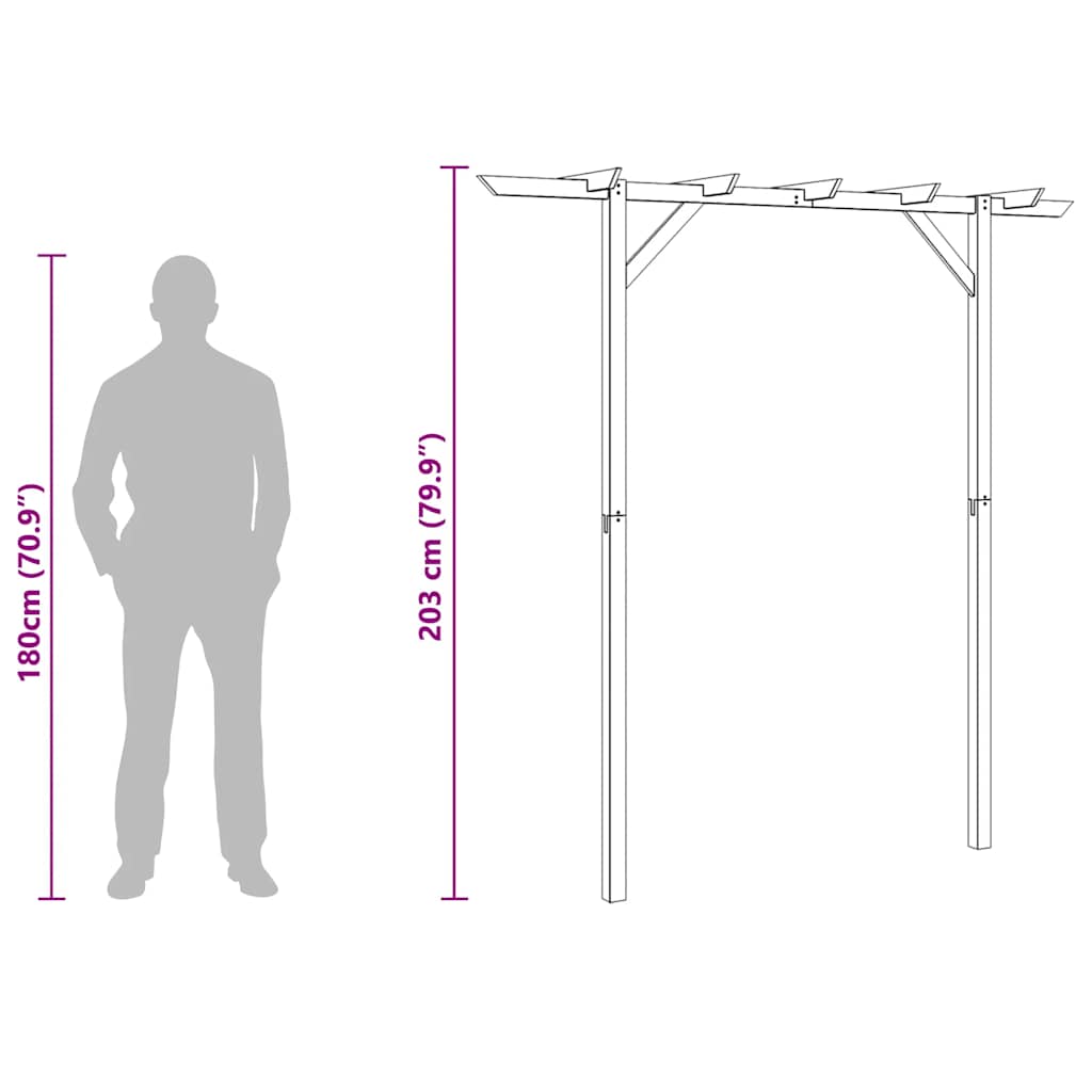 Dārza Pergola, 205X40X203 Cm, Koks