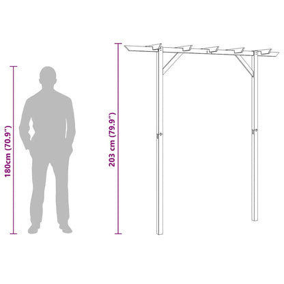 Dārza Pergola, 205X40X203 Cm, Koks