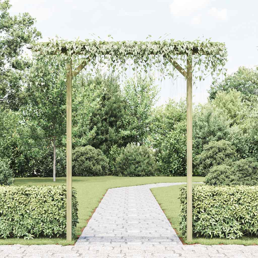 Dārza Pergola, 205X40X203 Cm, Koks