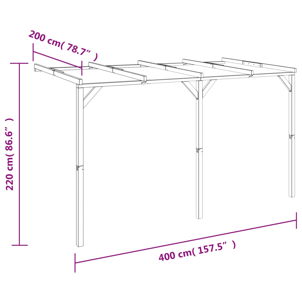Pergola Vīteņaugiem, 2X4X2,2 M, Koks