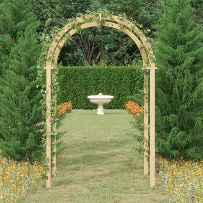 Arka, 141X97X243 Cm, Impregnēts Priedes Masīvkoks