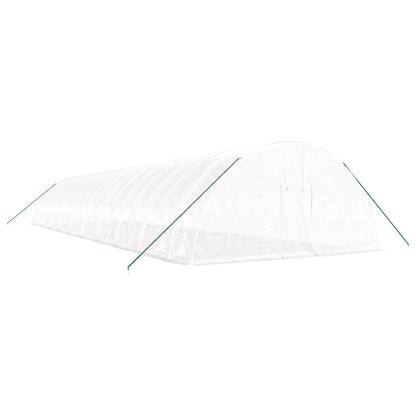 Siltumnīca Ar Tērauda Rāmi, , 120 M², 20X6X2,85 M