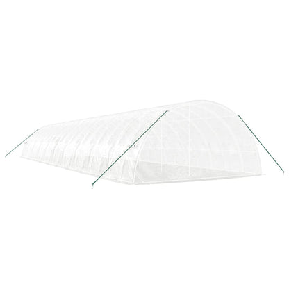 Siltumnīca Ar Tērauda Rāmi, , 120 M², 20X6X2,85 M