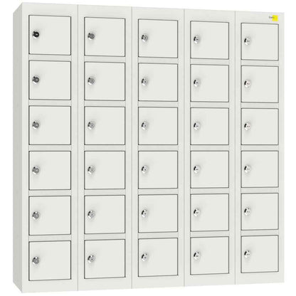 AL-30 subscriber cabinet