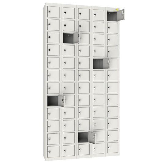 AL - 60 subscriber cabinet - HOLDORS