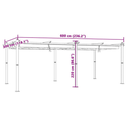Dārza Nojume Ar Izvelkamu Jumtu, 3X6 M, S - HOLDORS