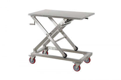 MLT300 Stainless Lifting Table Screw type 300kg - HOLDORS