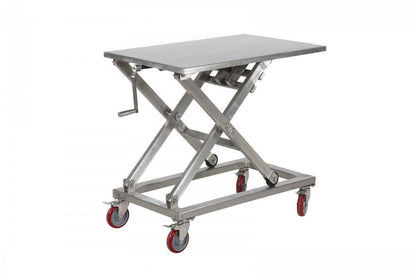 MLT300 Stainless Lifting Table Screw type 300kg