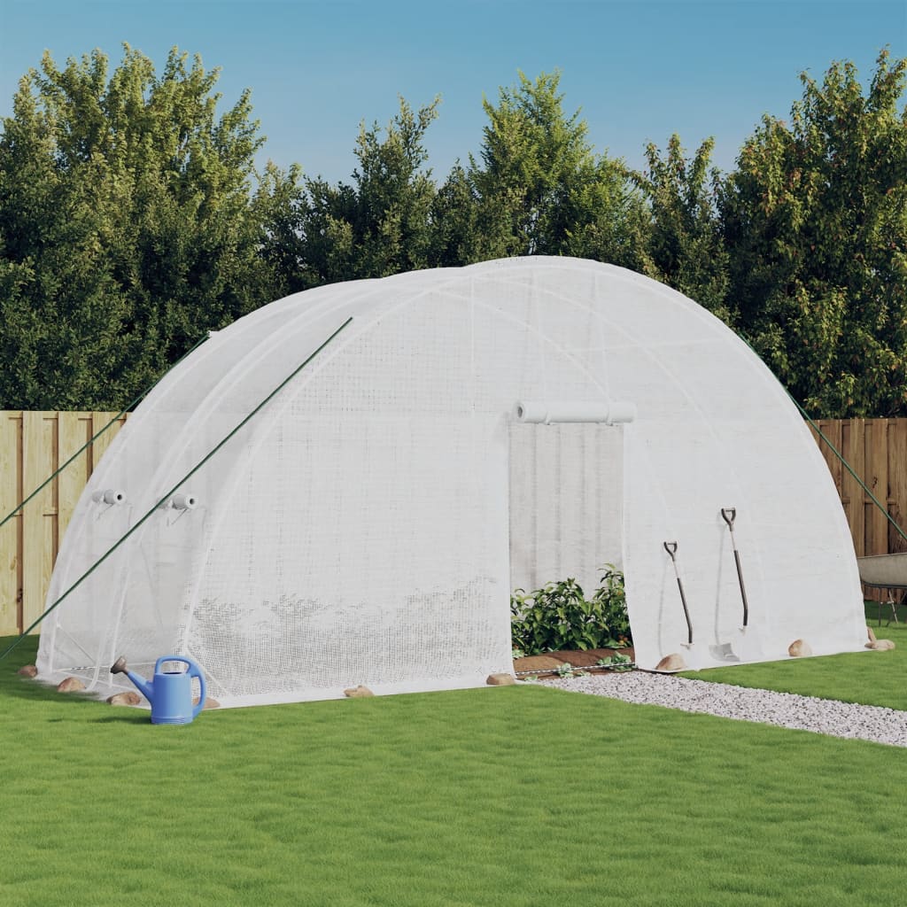 Siltumnīca Ar Tērauda Rāmi, , 120 M², 20X6X2,85 M - HOLDORS