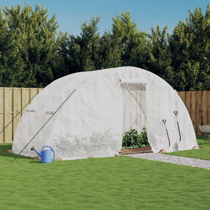 Siltumnīca Ar Tērauda Rāmi, , 20 M², 5X4X2,3 M - HOLDORS