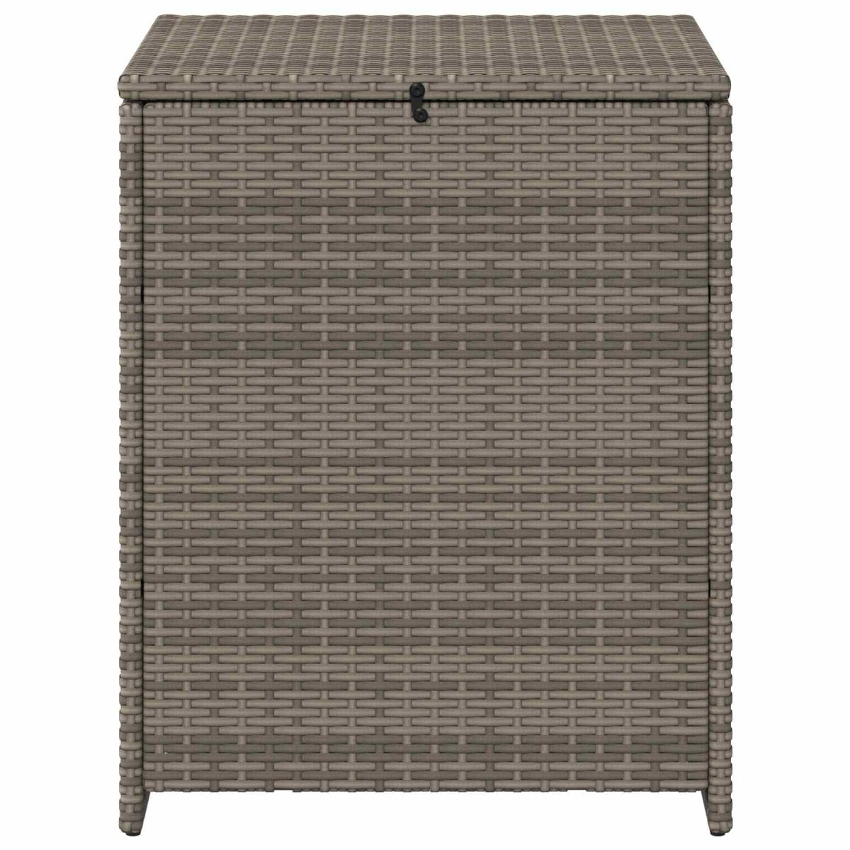 Spilvenu Kaste 55 X 55 X 69 Cm Tērauds - HOLDORS