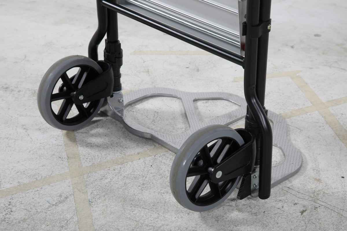 Trolley with ladder