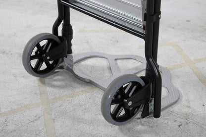 Trolley with ladder