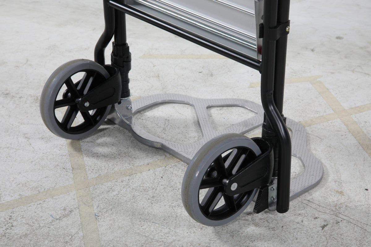 Trolley with ladder - HOLDORS