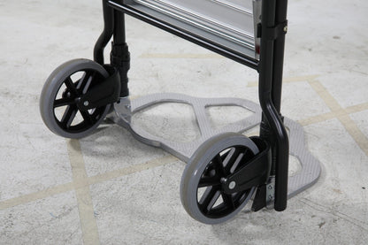 Trolley with ladder - HOLDORS